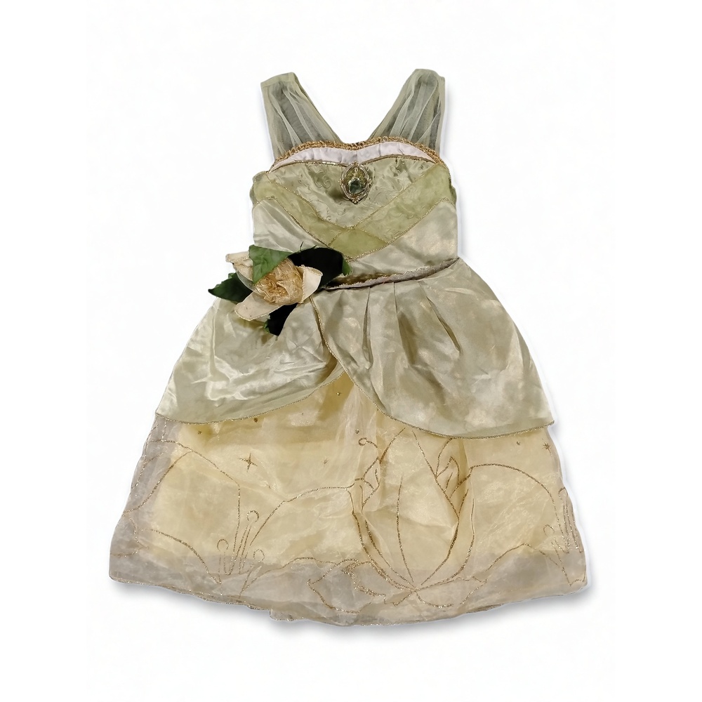 Disney Store Tiana Costume Dress Size 3 Nylon Polyester Whimsical Playful